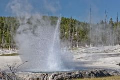 Cliff Geyserat Black Sand Basin