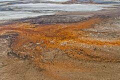 Bacteria Mat (Black Sand Basin)