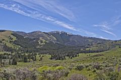 Blacktail Plateau