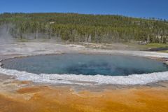 Crested Pool