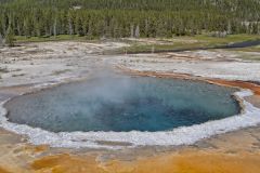 Crested Pool