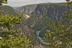 Grand Canyon of Yellowstone