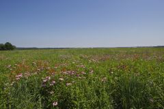 Huffman Prairie