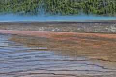 Bacteria Mat(Midway Geyser Basin)