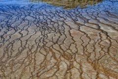 Bacteria Mat(Midway Geyser Basin)