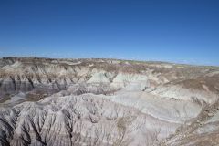 Views along the Blue Mesa Trail