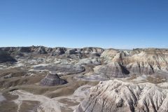 Views along the Blue Mesa Trail