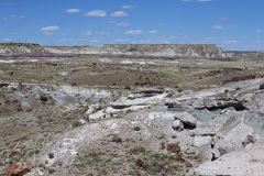 Petrified Wood in the Petrified Forest National Park