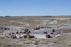 Petrified Wood in the landscape at Petrified Forest National Park