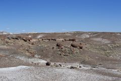 Petrified Wood in the landscape at Petrified Forest National Park