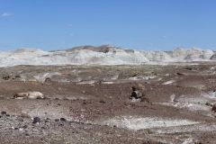 Petrified Wood in the landscape at Petrified Forest National Park