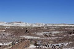 Petrified Wood in the landscape at Petrified Forest National Park