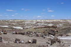 Petrified Wood in the landscape at Petrified Forest National Park