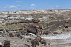 Petrified Wood in the landscape at Petrified Forest National Park