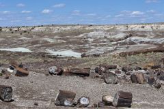 Petrified Wood in the landscape at Petrified Forest National Park