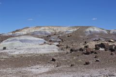 Petrified Wood in the landscape at Petrified Forest National Park