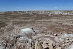 Landscape at Petrified Forest National Park