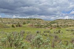 Theodore Roosevelt National Park South Unit