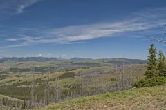 View From Mt. Washburn