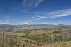 View From Mt. Washburn